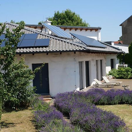 Strohlehm'Zhaus Leilighet Weiden am See Eksteriør bilde